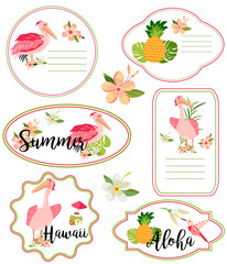 Set of stickers with Hawaiian elements and pelicans