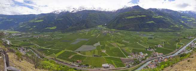 Fototapety na wymiar - Fototapeta24.pl