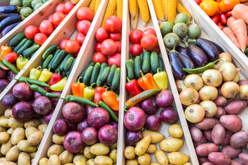 Agriculture harvested various colorful fresh vegetables at the farmer market