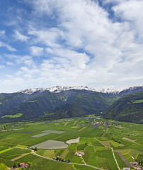 Fototapety na wymiar - Fototapeta24.pl