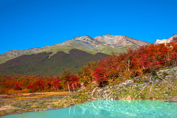 Gorgeous landscape of Patagonia's Tierra del Fuego National Park in Autumn