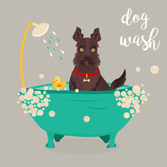 Illustration of a dog taking a shower. Can be used for advertising of dog service