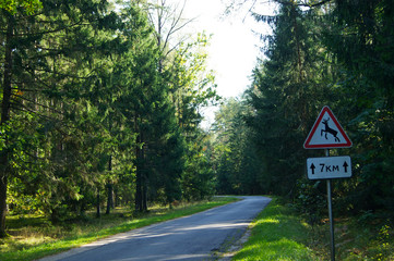 Bialowieza Forest, UNESCO heritage. Road sign with wild animals