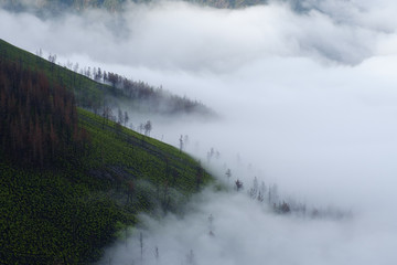 A misty, foggy day on the oldest Camino de Santiago in Spain the 