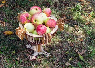 Apples