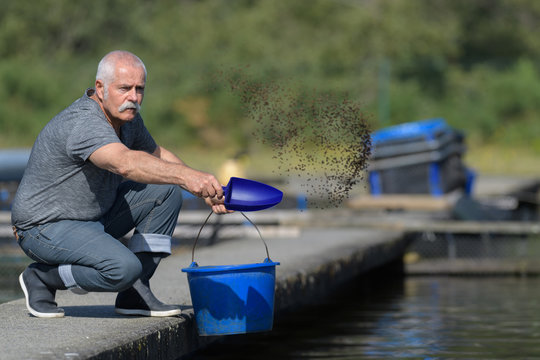 Feeding The Fish