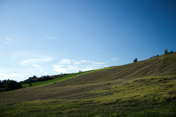 Fototapeta premium Landscape in Montecchio (Marche, Italy)