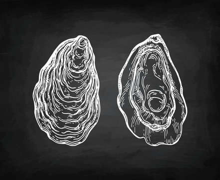 Oysters chalk sketch