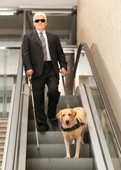 Blind man with guide dog on escalator