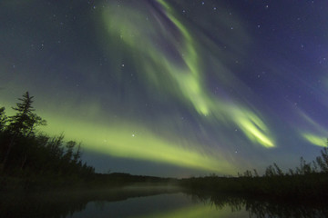 northern light aurora borealis