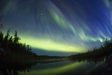 northern light aurora borealis