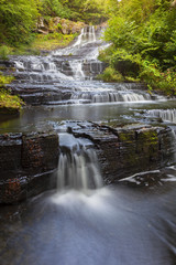 Obraz premium Waterfall at Myosotis 