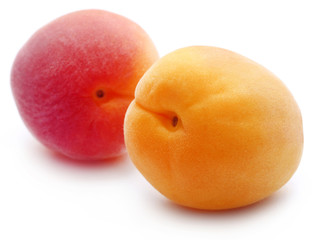Fresh apricots