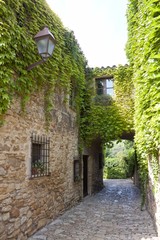 Fototapeta na wymiar Narrow street, stone pavement full of ivy in Peratallada, Spain