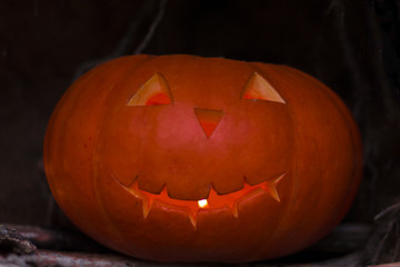 Halloween pumpkin in a forest. Close-up shot
