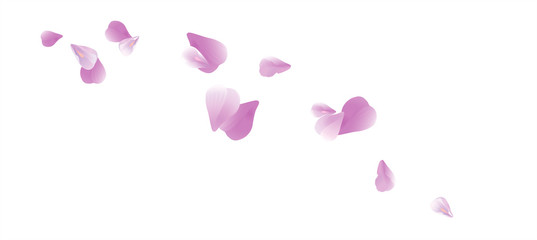 Purple Violet flying petals isolated on White background. Sakura Roses petals. Vector - obrazy, fototapety, plakaty
