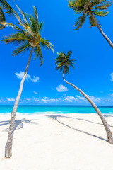 Bottom Bay, Barbados - Paradise beach on the Caribbean island of Barbados. Tropical coast with...