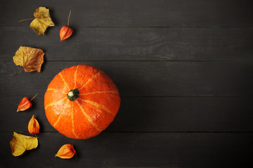Pumpkin with yellow autumn leaves and physalis on a dark wooden background. Minimalism
