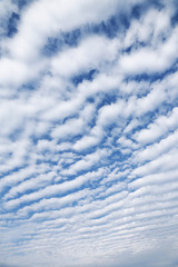 秋の雲