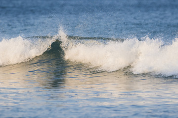 waves in cape cod beach