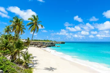 Küchenrückwand glas motiv Tropischer Strand Bottom Bay, Barbados - Paradiesstrand auf der karibischen Insel Barbados. Tropische Küste mit Palmen, die über türkisfarbenem Meer hängen. Panoramafoto der schönen Landschaft.