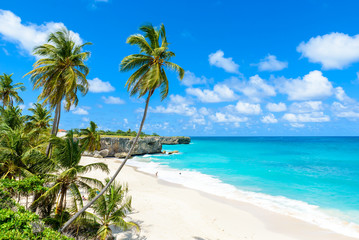 Naklejka na ściany i meble Bottom Bay, Barbados - Paradise beach on the Caribbean island of Barbados. Tropical coast with palms hanging over turquoise sea. Panoramic photo of beautiful landscape.