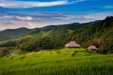 Fototapeta na wymiar Small cottages among natural lush green Rice Terrace in Chiang-mai, Thailand
