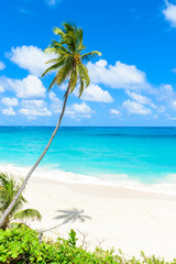 Bottom Bay, Barbados - Paradise beach on the Caribbean island of Barbados. Tropical coast with...