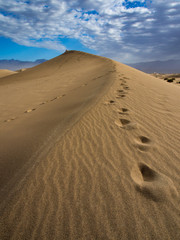 Large Sand Dune with Footprints - Death Valley