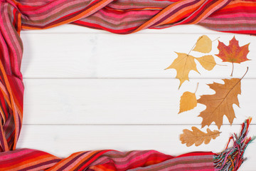 Frame of womanly shawl and autumnal leaves, clothing for autumn or winter, copy space for text