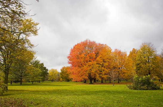Colors of autumn background. Colors of the fall at Midwest USA. Autumn landscape with green lawn, colorful trees and gray cloudy sky. Horizontal shot.