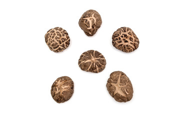 Dried shiitake mushrooms and a Isolated pattern with white background. ( clipping path )