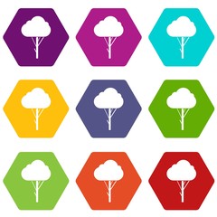 Tree icon set color hexahedron