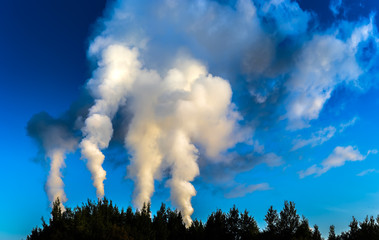 Smoke over the forest. Fire in the forest.
