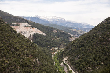 Obraz premium Rocky mountains covered with pine forests 