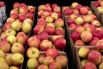 Naklejka na ściany i meble farm stand apples for sale