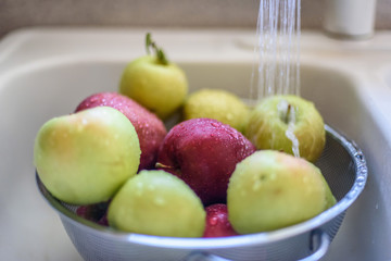 rinsing fresh picked apples in kitchen sink