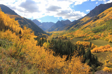 Fall Colors, Aspen, Colorado