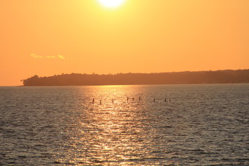 Silhouetted People on a Lake