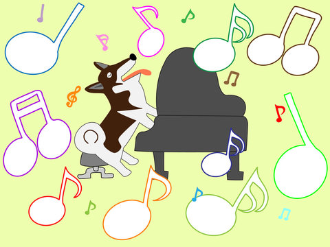 犬のコンサート