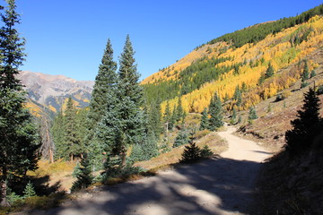 Fall Colors Landscape