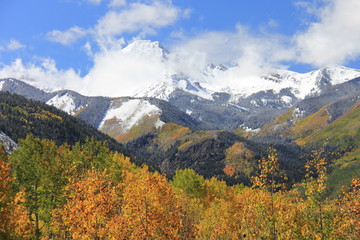 Fall Colors Landscape