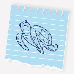 Tortoise doodle
