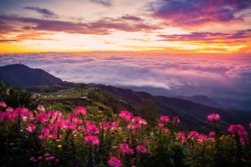 Morning Mist with Mountain ,Sunrise and sea of mis