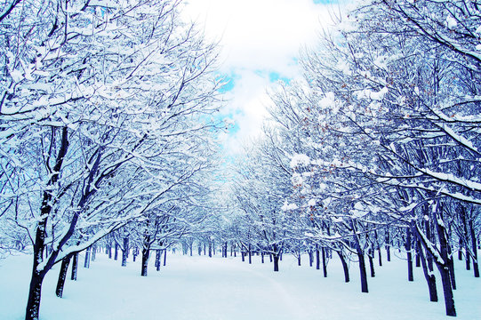 雪景色 美しい日本の冬を味わいに。珠玉の「雪景色」を見に行きませんか ...