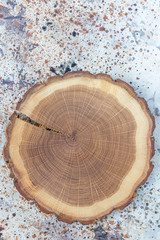 Empty wooden cutting board, log on concrete background, copy space, top view, vertical