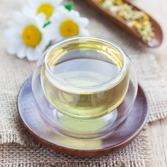 Chamomile tea in asian style cup, chamomile flowers and dry tea on background, square format