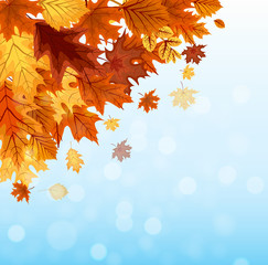 Fototapeta na wymiar Abstract Vector Illustration Background with Falling Autumn Leav