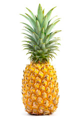fresh pineapple on white background, "tropical summer" concept