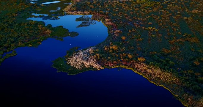 Herons nest colony. Traveling backwards. Aerial image in the Pantanal Biome. Lush image of blue water river and flooded primary vegetation on a Green forest. Mato Grosso do Sul, Brazil. 
